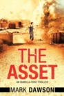 Image for The Asset : Act II
