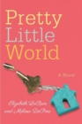 Image for Pretty Little World