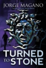 Image for Turned to Stone
