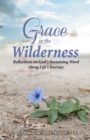 Image for Grace in the Wilderness: Reflections on God&#39;s Sustaining Word Along Life&#39;s Journey