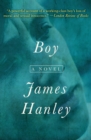Image for Boy: A Novel