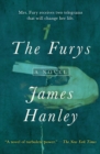 Image for The Furys: A Novel : 1