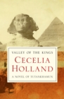 Image for Valley of the kings: a novel of Tutankhamun