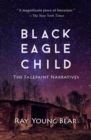 Image for Black eagle child: the facepaint narratives