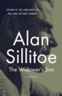 Image for The widower&#39;s son: a novel