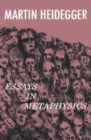 Image for Essays in Metaphysics: Identity and Difference