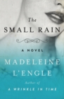 Image for The small rain: a novel