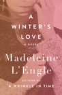 Image for A winter&#39;s love: a novel