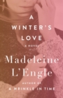 Image for A winter&#39;s love  : a novel