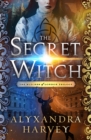 Image for The secret witch