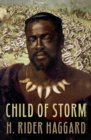 Image for Child of Storm