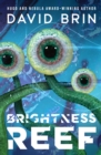 Image for Brightness Reef