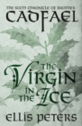 Image for The Virgin in the Ice