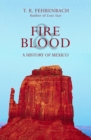 Image for Fire &amp; blood  : a history of Mexico