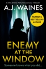 Image for Enemy At The Window