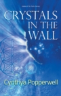 Image for Crystals in the Wall