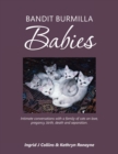 Image for Bandit Burmilla Babies : Intimate Conversations with a Family of Cats on Love, Pregancy, Birth, Death and Separation.