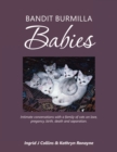 Image for Bandit Burmilla Babies: Intimate Conversations With a Family of Cats on Love, Pregancy, Birth, Death and Separation