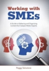 Image for Working with SMEs