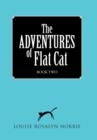 Image for The ADVENTURES of Flat Cat