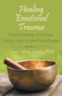 Image for Healing Emotional Trauma : Practical Pathways to Decrease Anxiety, Anger &amp; Lower Blood Pressure