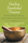 Image for Healing Emotional Trauma: Practical Pathways to Decrease Anxiety, Anger &amp; Lower Blood Pressure