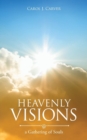 Image for Heavenly Visions