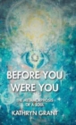 Image for Before You Were You : The Metamorphosis of a Soul