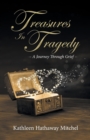 Image for Treasures In Tragedy : A Journey Through Grief