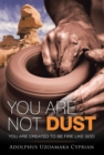 Image for You Are Not Dust: You Are Created to Be Fire Like God