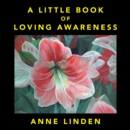 Image for Little Book of Loving Awareness