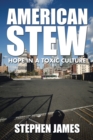 Image for American Stew: Hope in a Toxic Culture