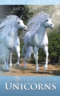 Image for Journey of the two unicorns