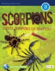 Image for Scorpions, Spiders, Centipedes, &amp; Millipedes