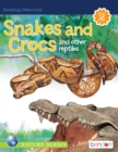 Image for Snakes and Crocs and Other Reptiles