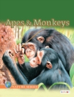 Image for Apes and Monkeys