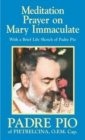 Image for Meditation Prayer on Mary Immaculate