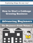 Image for How to Start a Cabbage Growing Business (Beginners Guide)