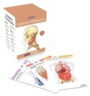 Image for Anatomy Flashcards: 300 Flashcards with Anatomically Precise Drawings and Exhaustive Descriptions