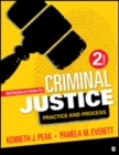Image for Introduction to criminal justice  : practice and process