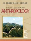 Image for Encyclopedia of anthropology