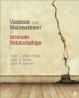 Image for Violence and Maltreatment in Intimate Relationships