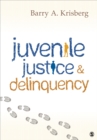 Image for Juvenile justice and delinquency