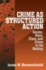 Image for Crime as structured action: gender, race, class and crime in the making.