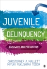 Image for Juvenile Delinquency : Pathways and Prevention