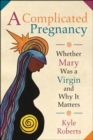 Image for A complicated pregnancy: whether Mary was a virgin and why it matters