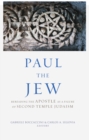 Image for Paul the Jew: Rereading the Apostle as a Figure of Second Temple Judaism