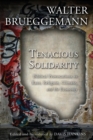 Image for Tenacious Solidarity : Biblical Provocations on Race, Religion, Climate, and the Economy