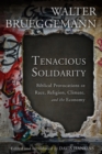 Image for Tenacious solidarity: biblical provocations on race, religion, climate, and the economy