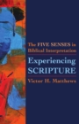Image for Experiencing scripture: the five senses in Biblical interpretation